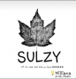 Sulzy