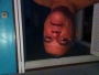 Melenhead63