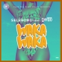 mr sparrow ft selebobo