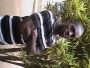 loveone1