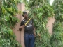 abass1233
