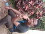 kyordey