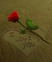 Loverboy209