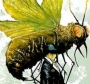 Lord Of Da Flies by MistaCade aka Prodigal Sun
