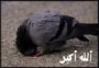 SarkiRidwan