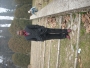 uchebobo