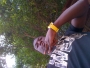 TIMIATY
