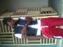 rowlexzyyong