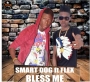 Smart dog ft Flex