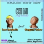 Leo braymix FT SegunWire