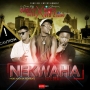 Nekwaha (See dem) by Shelly Bizza Ft. Vib’z & Nurex