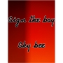 Sky bee