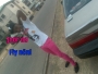 lawal23