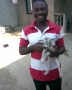Picture