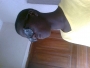 temitope32001