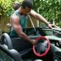 the_pryce