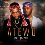 Slimcase x De pops