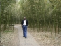 jaobaba2009