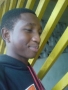 Nibrass