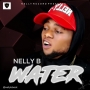 Nelly B 