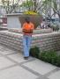 henryosy