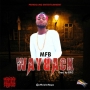 mfb
