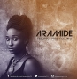 Feeling This Feeling by Aramide