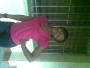 renatta