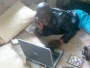 Picture