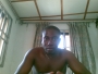 gibso