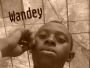wandeybony