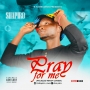 pray for me by shapiro