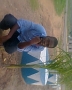 Joeade12