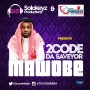 2Code Da Saveyor