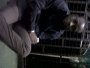 jeriano2003