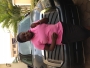 Bussyebony