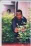 KINGMOBIS