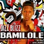 Dizz Blizz