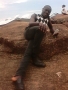 clifort