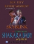 Sky Blink ft Stereo Blizz