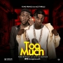 Yungprince ft Acethrills