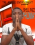 shellwizz