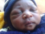 Kingo1