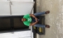 Olayemiking