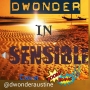 D WONDER