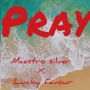Maestro Silver X Lucky Favour 