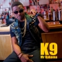 Takerewa by K9