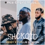 Ziggy X T-Plus X Origin
