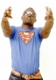 oga at the top by magnificent