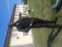 Donchizy1